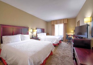 2-Star Hotel ∙ Hampton Inn Baton Rouge - Denham Springs