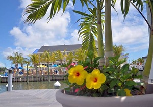 2-Star Hotel ∙ Fairfield Inn & Suites by Marriott Chincoteague Island Waterfront
