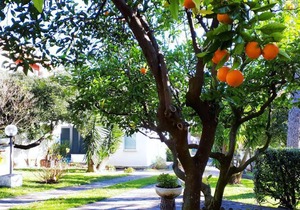 20 m² Camping ∙ 1 bedroom ∙ 3 guests