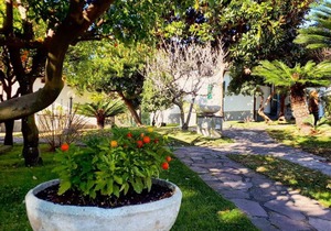 20 m² Camping ∙ 1 bedroom ∙ 3 guests