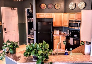 20 minutes to the theme park! Family- sized condo with private patio