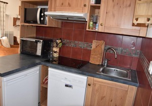 200m from resort center, Ground floor, balcony, tv, ski locker, 49m², Pralognan-la-Vanoise