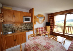 200m from resort center, 1st floor, view ski slopes, balcony, tv, ski locker, 30m², Les Saisies