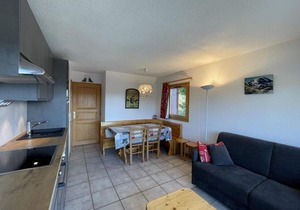 200m from resort center, 1st floor, view ski slopes, balcony, tv, ski locker, 37m², Les Saisies