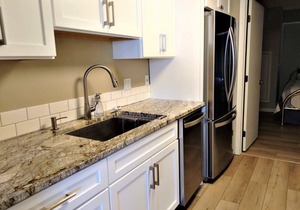 #21 ELK RAPIDS BEACH CONDOMINIUM