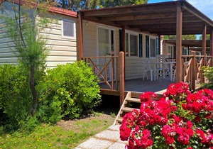 24 m² Accommodation ∙ 2 bedrooms ∙ 5 guests