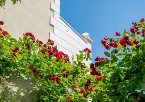 24 m² Apartment ∙ 1 bedroom ∙ 2 guests