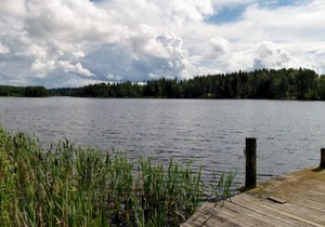 25 m² Cabin ∙ 1 bedroom ∙ 2 guests