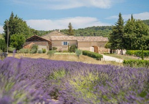 270 m² House ∙ 8 bedrooms ∙ 16 guests