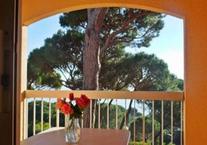 28 m² Apartment ∙ 1 bedroom ∙ 4 guests