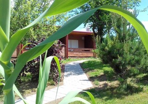 28 m² Private room ∙ 1 bedroom ∙ 2 guests