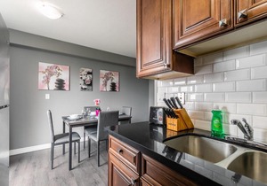 2BR Apartment with Netflix - Near DT Hamilton