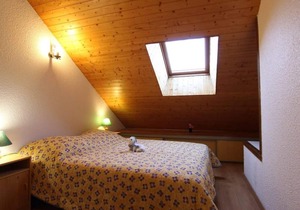 2nd floor, balcony, tv, ski locker, 55m², Pelvoux