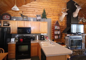 3 bed Log Cabin, w/2 Jacuzzi, 1 mi to SDC, 2 pools, nature trails, private lake