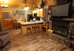 3 bed Log Cabin, w/2 Jacuzzi, 1 mi to SDC, 2 pools, nature trails, private lake