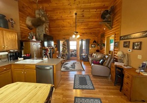 3 bed Log Cabin, w/2 Jacuzzi, 1 mi to SDC, pool, nature trails, private lake