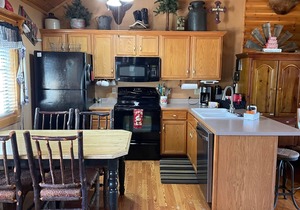 3 bed Log Cabin, w/2 Jacuzzi, 1 mi to SDC, pool, nature trails, private lake