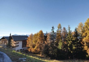 3 bedroom accommodation in Veysonnaz