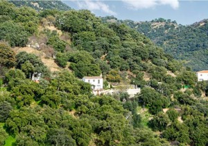 3 bedroom accommodation in Algatocin