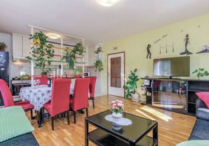 3 bedroom accommodation in Radovcici