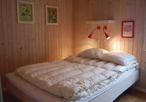 3 bedroom accommodation in Snedsted