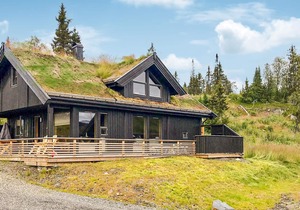 3 bedroom accommodation in Øyer