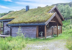 3 bedroom accommodation in Åseral