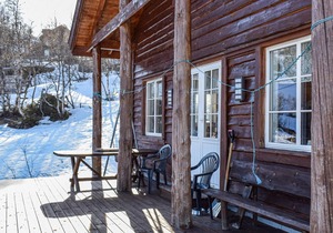 3 bedroom accommodation in Åseral