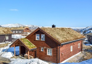 3 bedroom accommodation in Åseral