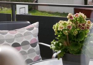 3. Ferienwohnung im OG mit 50 qm, 1 Wohn-/Schlafraum für max. 3 Personen