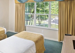 3 Spacious Units w/Kitchen, Near Eco Discovery Park, Golf, Pool