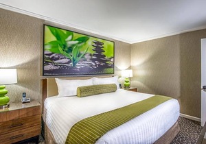3-Star Hotel ∙ The Creekside Inn