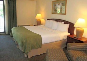3-Star Hotel ∙ Quality Inn & Suites Tarpon Springs