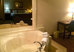 3-Star Hotel ∙ Wingate by Wyndham Detroit Metro Airport