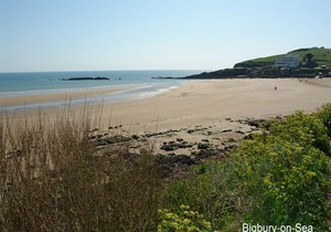 3 Tarifa in Bigbury-on-sea