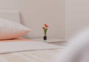 30 m² Apartment ∙ 1 bedroom ∙ 3 guests