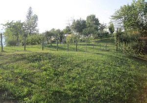 30 m² Bed & Breakfast ∙ 2 guests