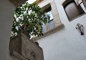 30 m² Private room ∙ 1 bedroom ∙ 3 guests