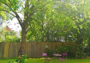 300 meter walk to LEGO HOUSE - 80m2 two bedroom apartment with garden - unit B