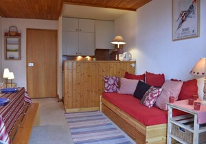 300m from ski slopes, 1st floor, balcony, tv, ski locker, 33m², Méribel