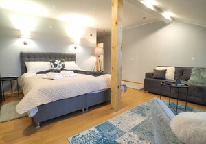 33 m² Private room ∙ 3 guests