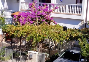 34 m² Apartment ∙ 1 bedroom ∙ 4 guests