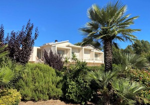 35 m² Apartment ∙ 1 bedroom ∙ 4 guests