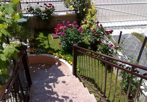 35 m² Apartment ∙ 1 bedroom ∙ 3 guests
