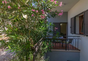 36 m² Apartment ∙ 1 bedroom ∙ 4 guests