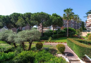 37 m² Apartment ∙ 1 bedroom ∙ 4 guests