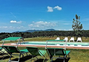 37 m² Villa ∙ 1 bedroom ∙ 4 guests
