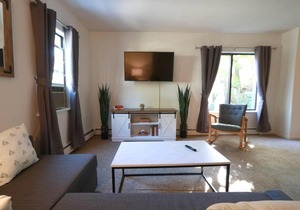 3BR Duplex, Easy Walk to Downtown Ann Arbor