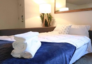 3BR Duplex, Easy Walk to Downtown Ann Arbor