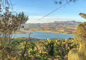 4 bedroom accommodation in Sambuca di Sicilia